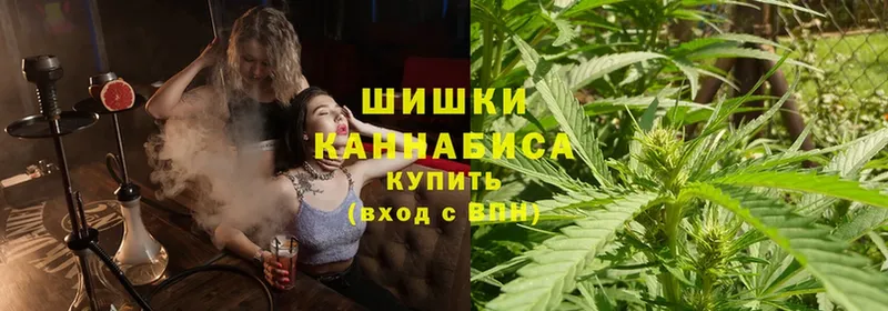 Бошки марихуана OG Kush  купить закладку  Ярцево 